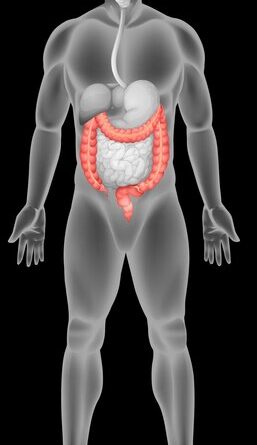 Occlusion intestinale: Quand l’intestin s’obstrue, la vie est en jeu